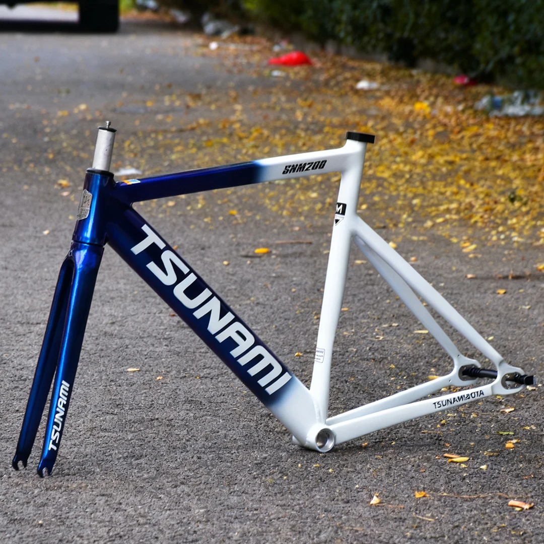 SNM200 Aluminum Alloy Fixed Ge - огляд і ціна Cycling Commute Gear
